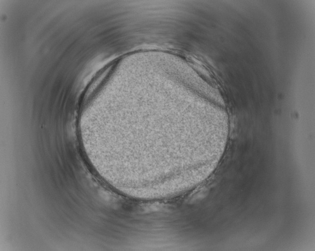 X0000067910098200605111953