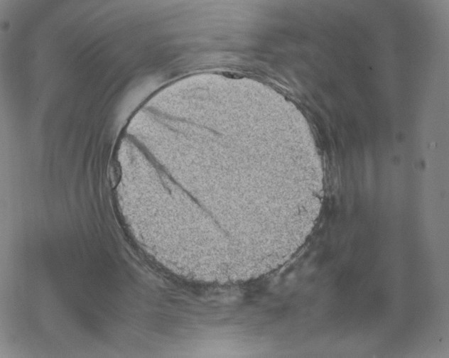 X0000067910099200605111953