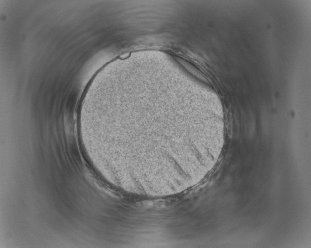 X0000067910100200605111953