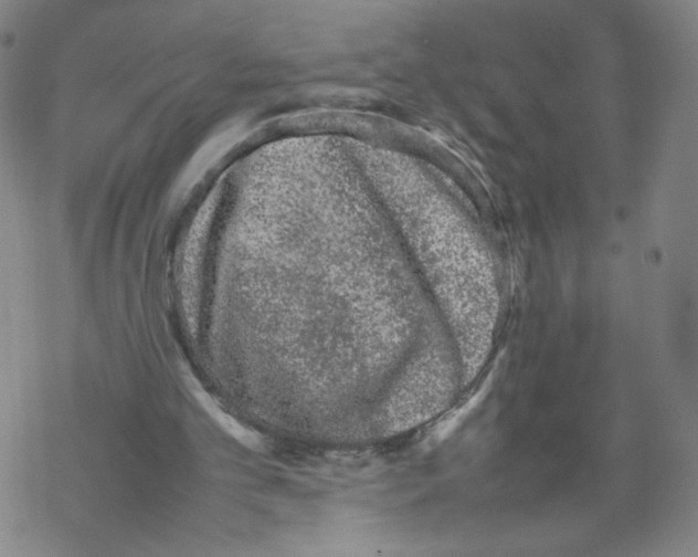 X0000067910101200605111953