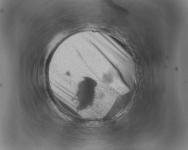 X0000067910102200605111953