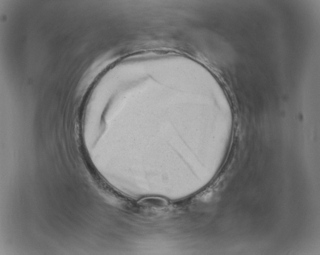 X0000067910103200605111953