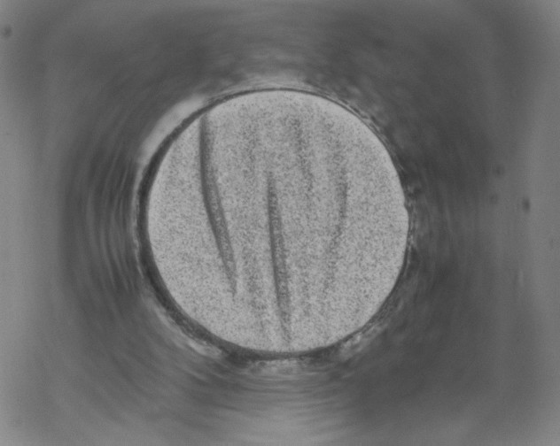 X0000067910104200605111953