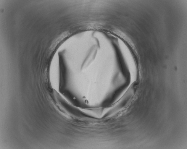 X0000067910105200605111953