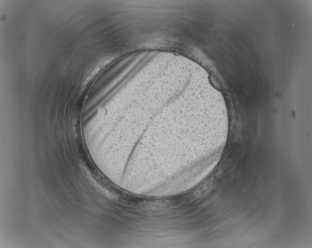 X0000067910106200605111953