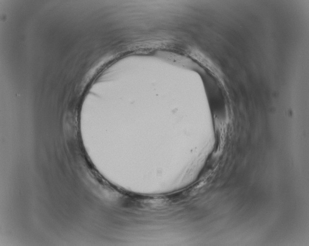 X0000067910107200605111953