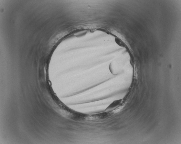 X0000067910109200605111953