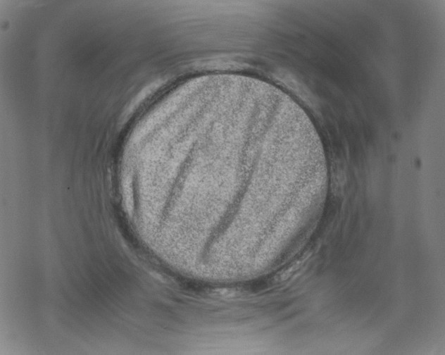 X0000067910111200605111953