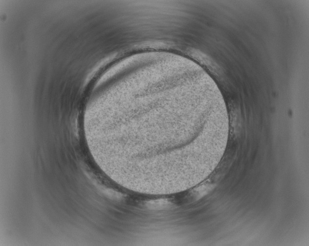 X0000067910112200605111953