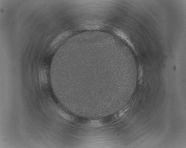 X0000067910114200605111953