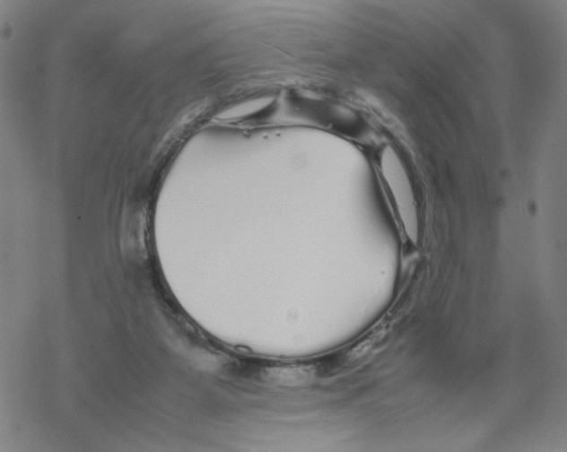 X0000067910115200605111953