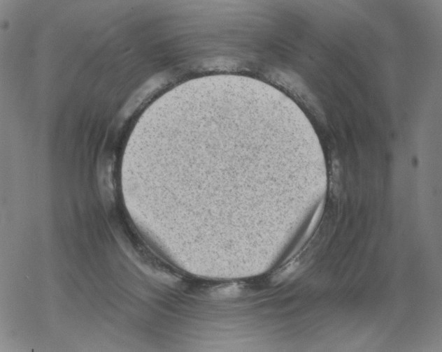 X0000067910116200605111953