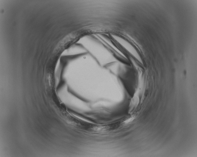 X0000067910117200605111953