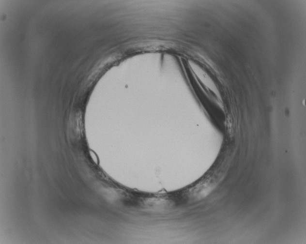 X0000067910119200605111952