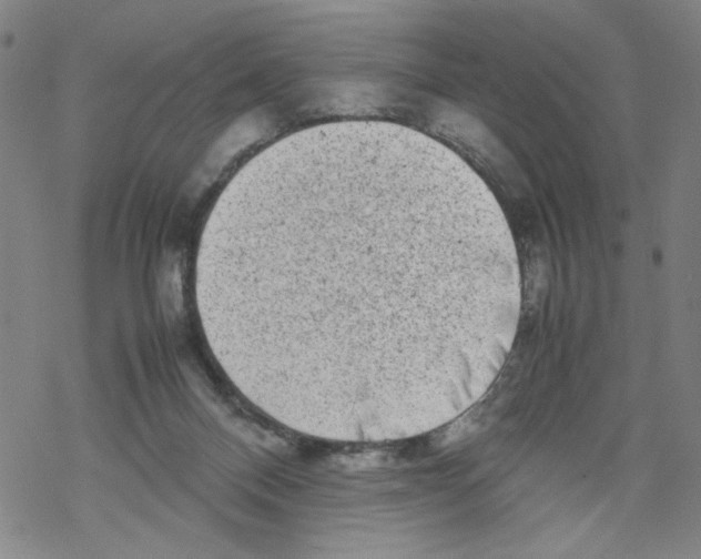 X0000067910120200605111952