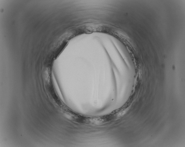 X0000067910121200605111952