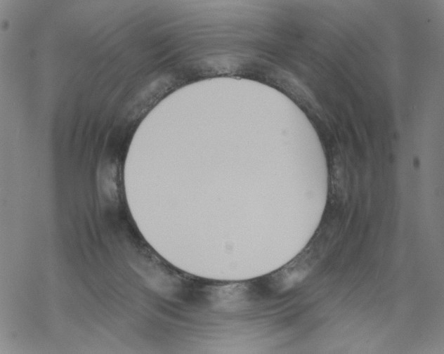 X0000067910122200605111952