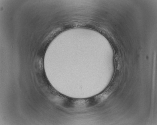 X0000067910123200605111952