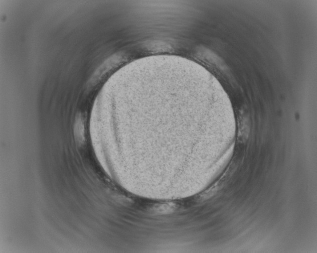 X0000067910124200605111952