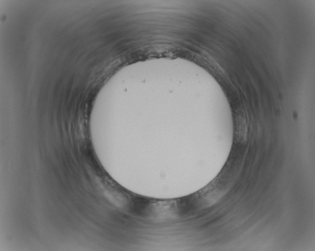 X0000067910126200605111952