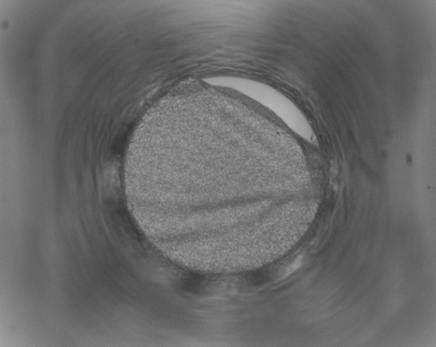 X0000067910127200605111952