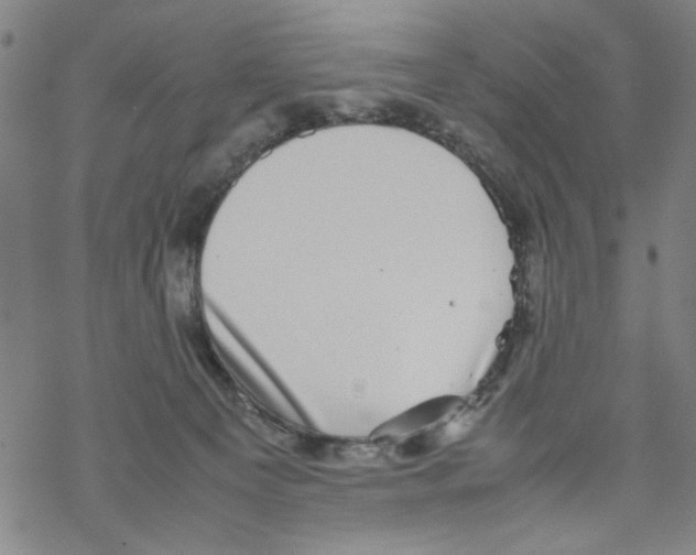 X0000067910129200605111952