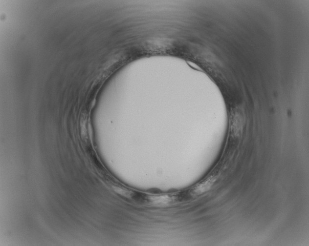 X0000067910131200605111952