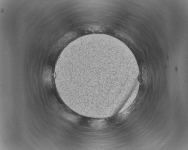 X0000067910132200605111952