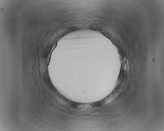 X0000067910133200605111952