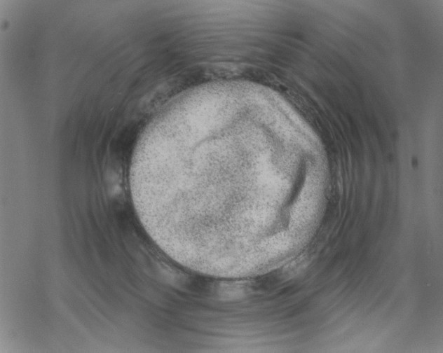 X0000067910134200605111952