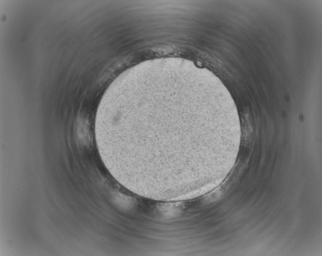 X0000067910136200605111952