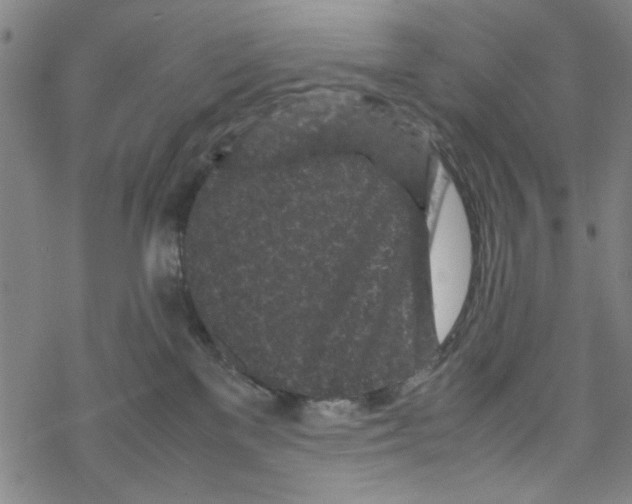 X0000067910137200605111952