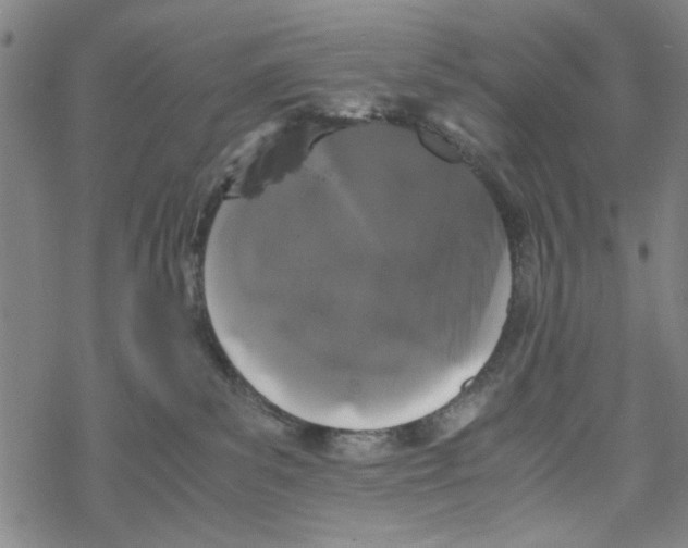 X0000067910139200605111952