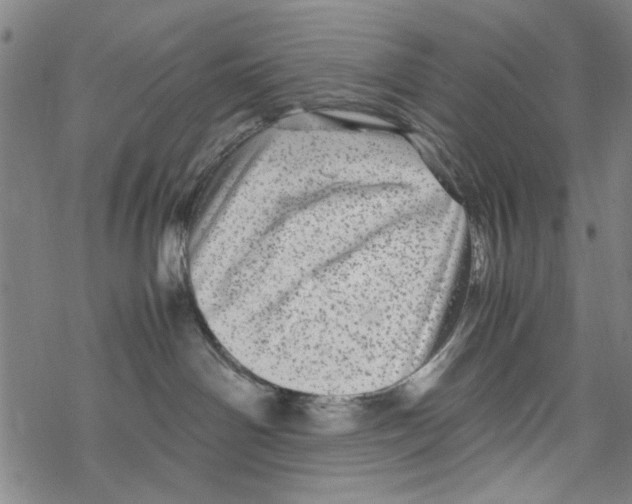 X0000067910142200605111952