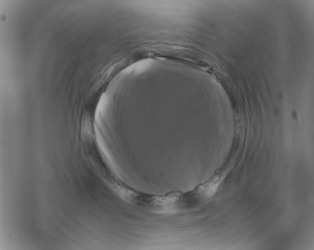 X0000067910143200605111952