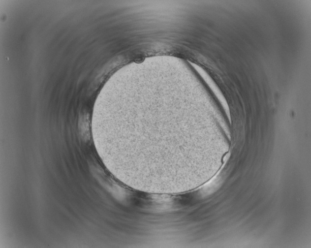 X0000067910144200605111952