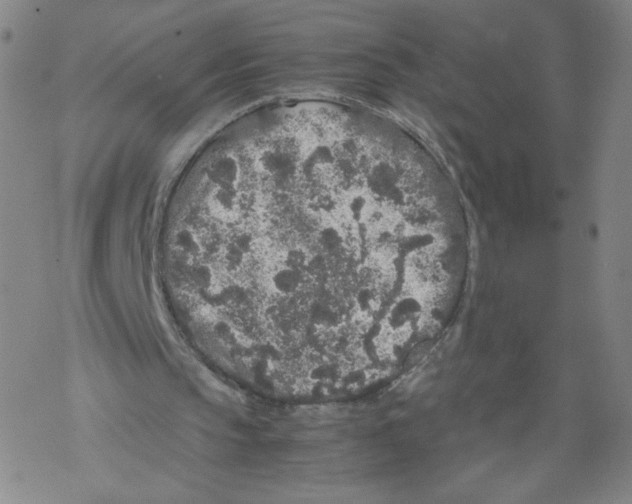 X0000067910145200605111951