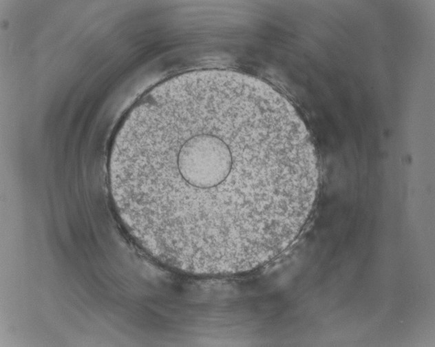 X0000067910146200605111951