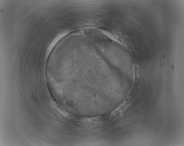 X0000067910147200605111951