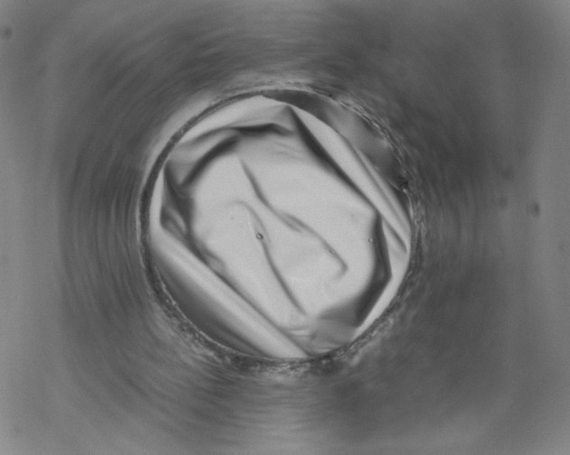 X0000067910148200605111951