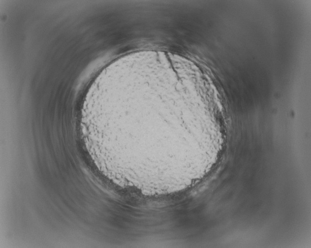 X0000067910149200605111951