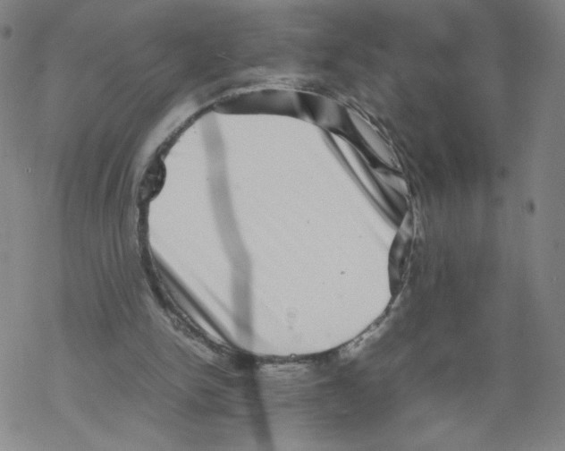 X0000067910150200605111951