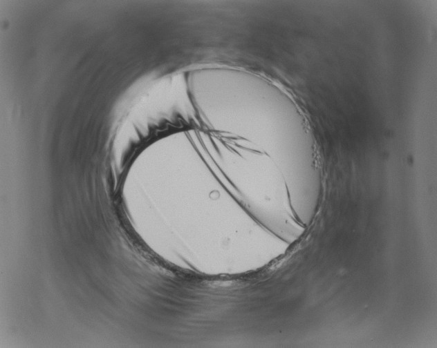 X0000067910152200605111951