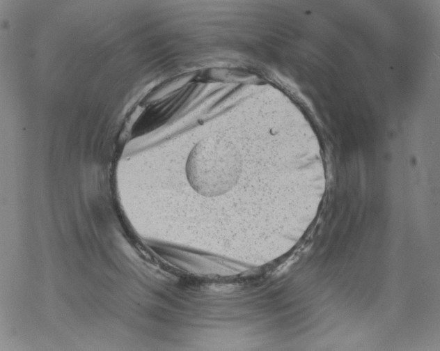 X0000067910154200605111951