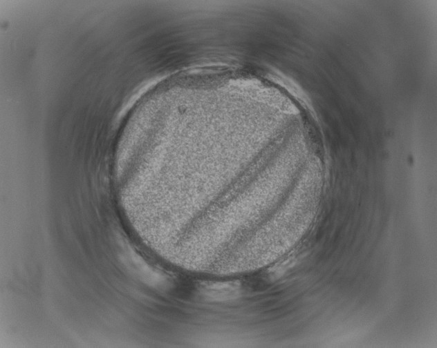 X0000067910155200605111951