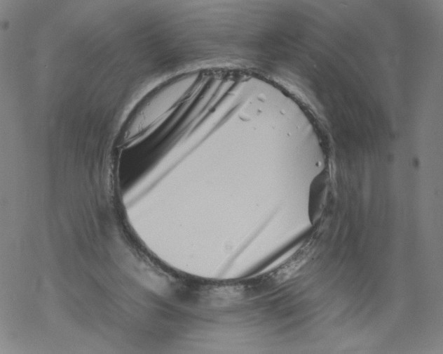 X0000067910156200605111951