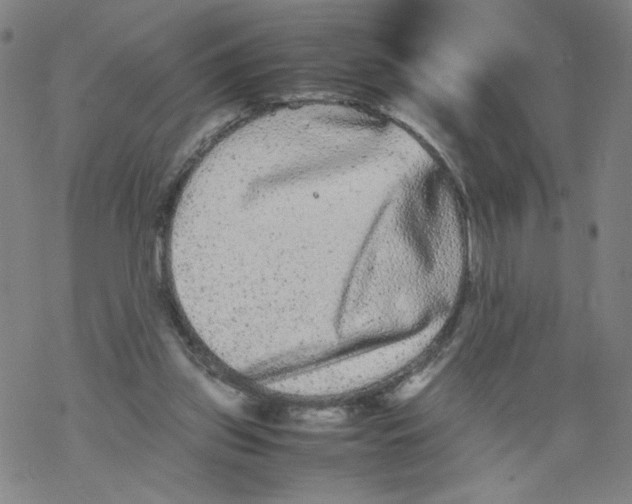 X0000067910157200605111952