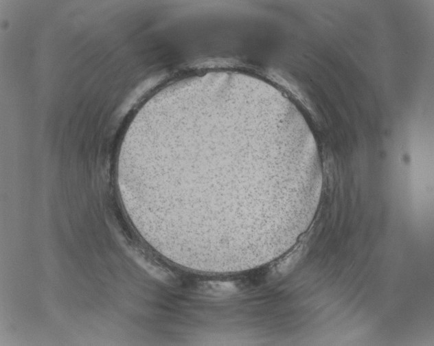 X0000067910159200605111952