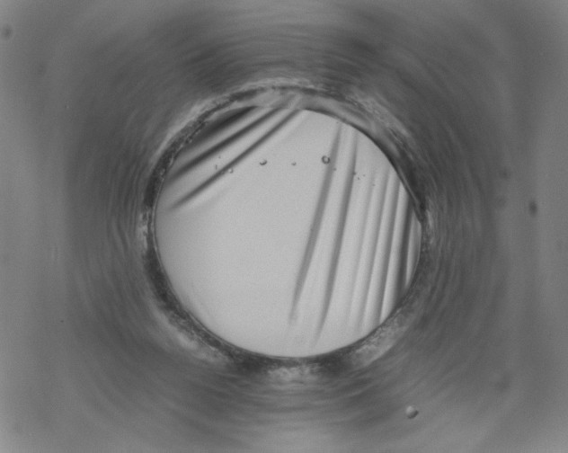 X0000067910160200605111952