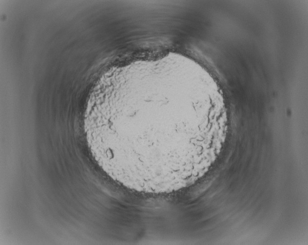 X0000067910161200605111952